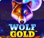 Wolf Gold